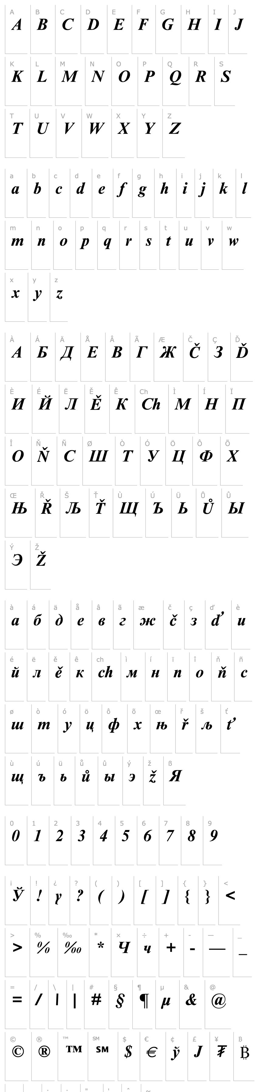 Overview Times New Roman Mon Bold Italic