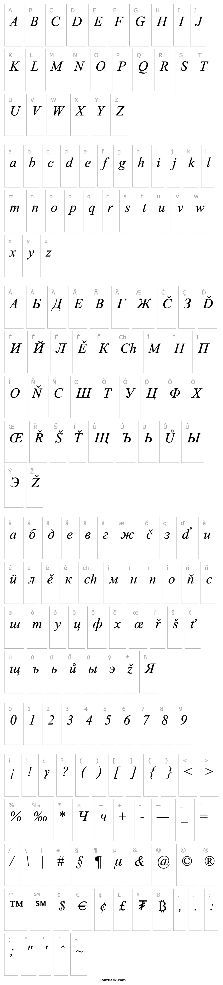 Přehled Times New Roman Mon Italic