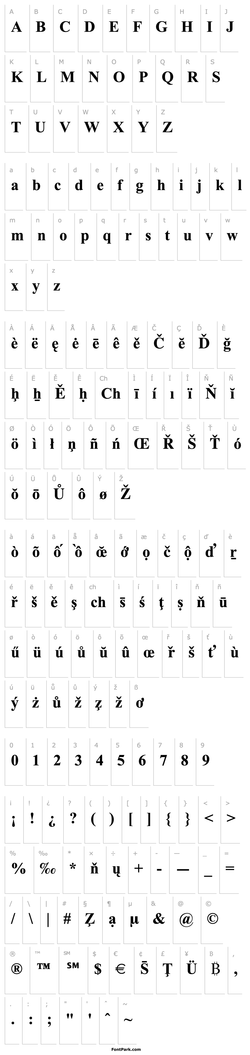 Overview Times New Roman Special G1 Bold