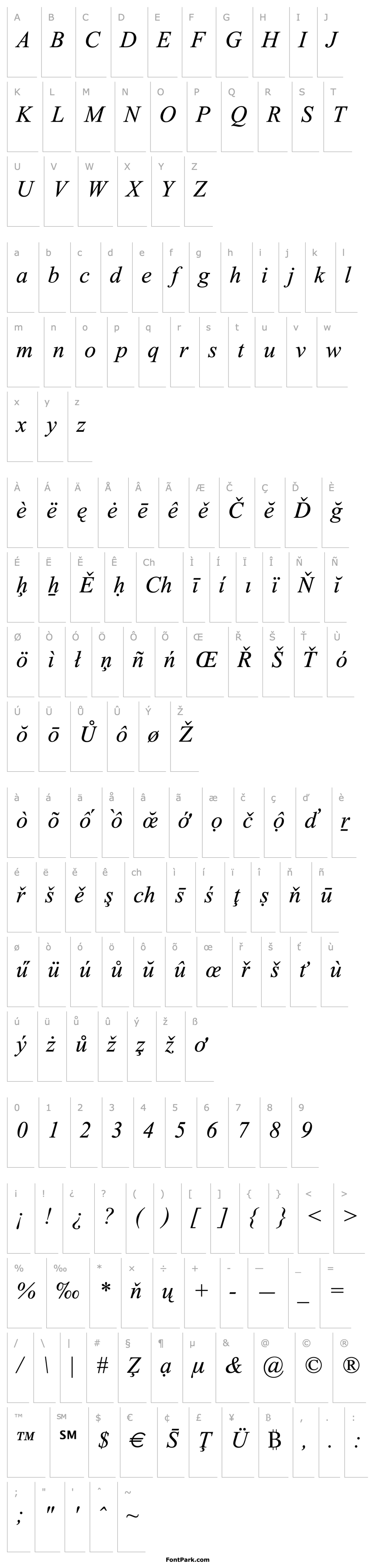 Overview Times New Roman Special G1 Italic