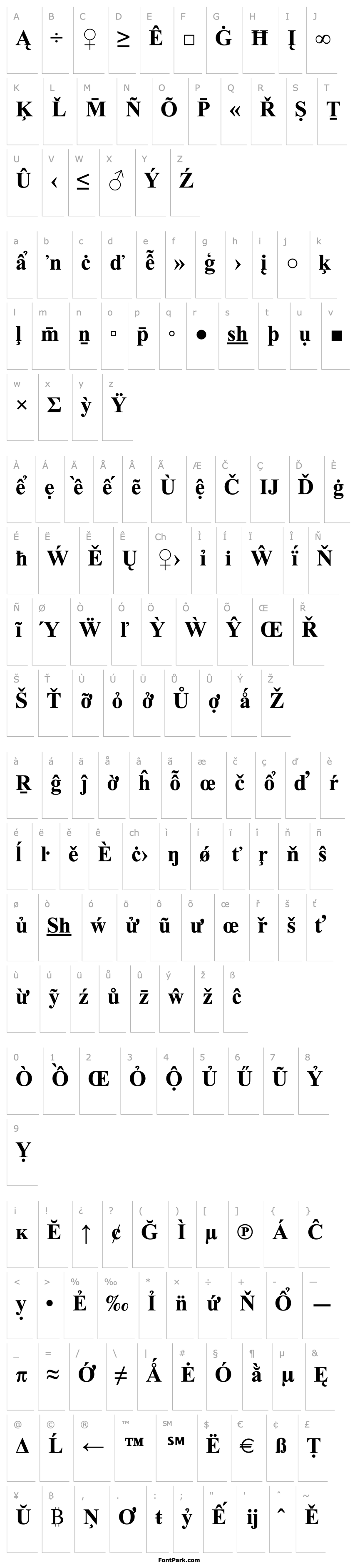 Overview Times New Roman Special G2 Bold