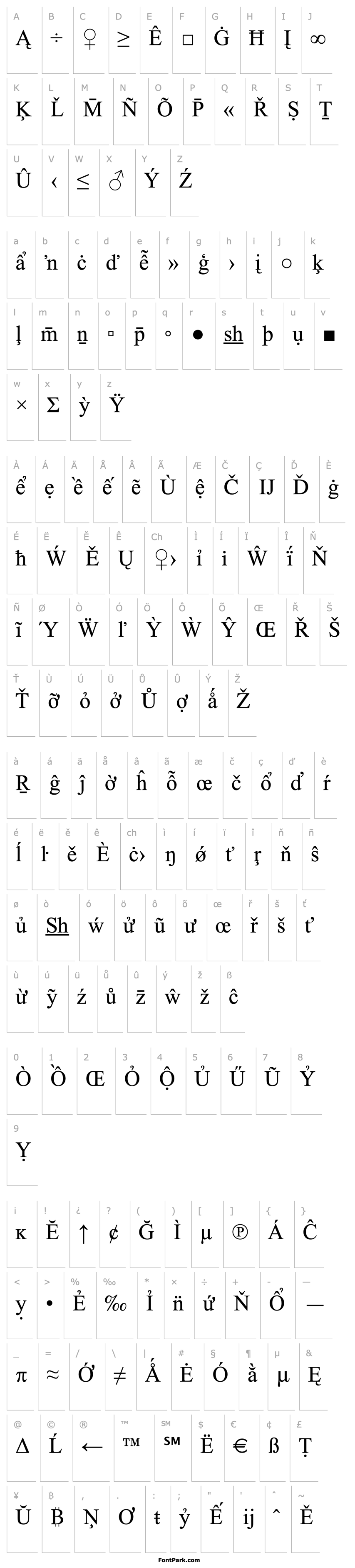 Overview Times New Roman Special G2