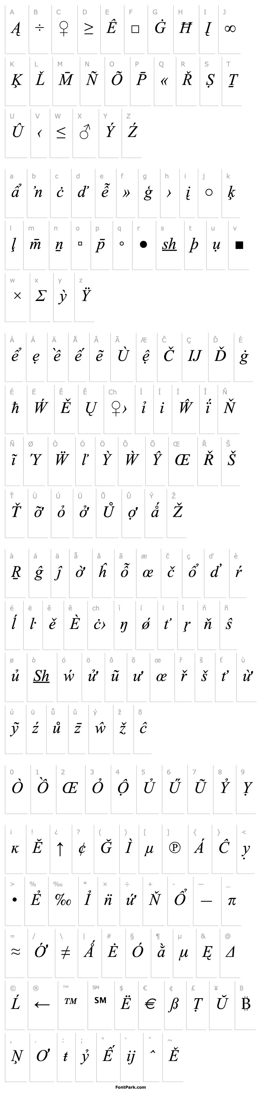 Overview Times New Roman Special G2 Italic