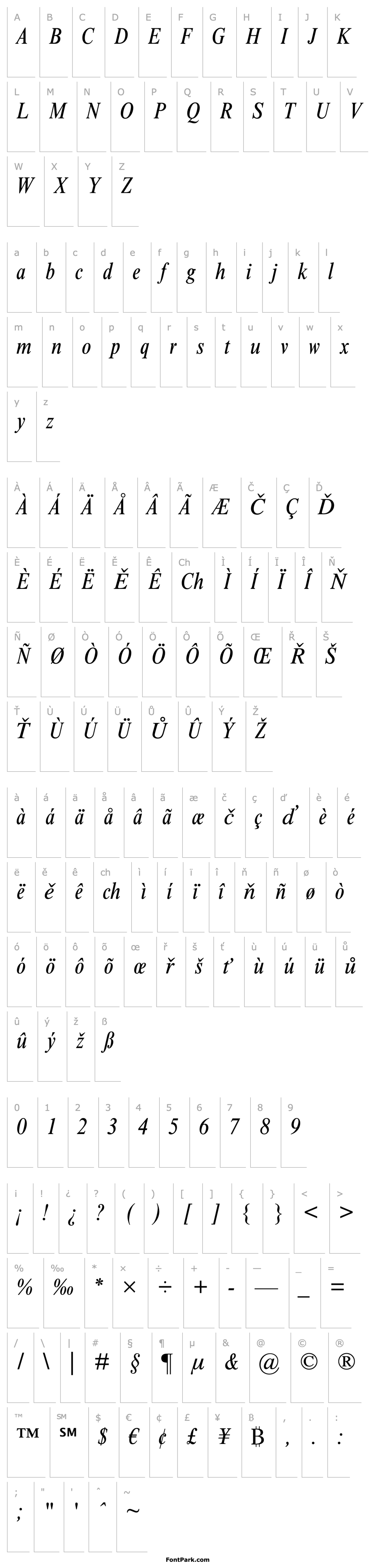 Overview Times NR Condensed Italic