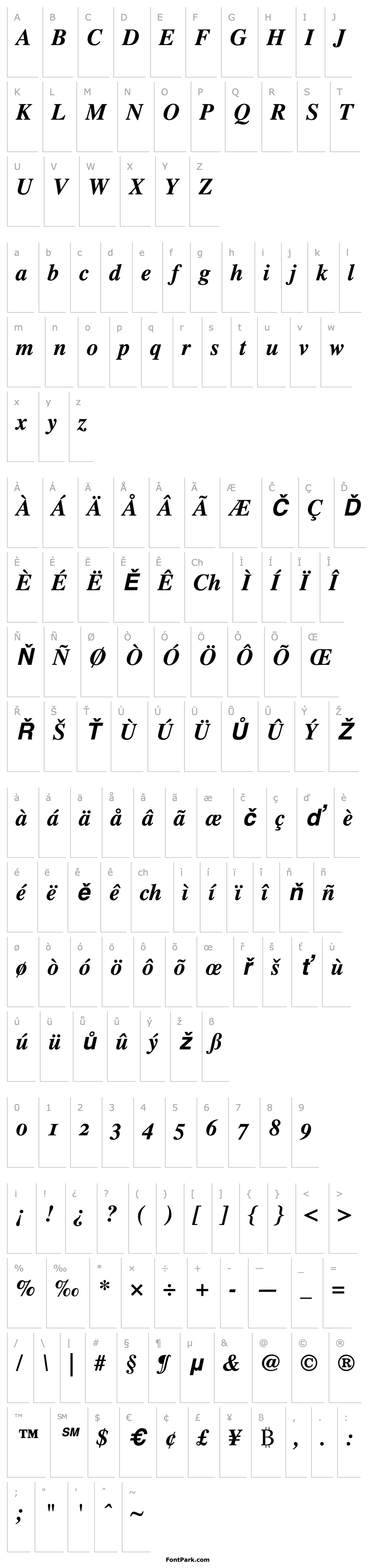 Overview Times OsF Bold Italic