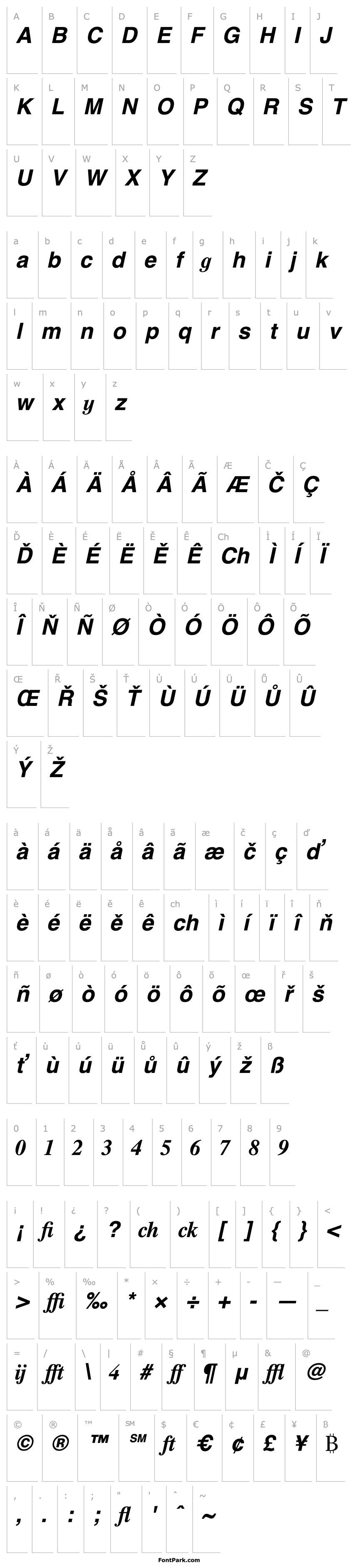 Overview Times Profi Bold Italic