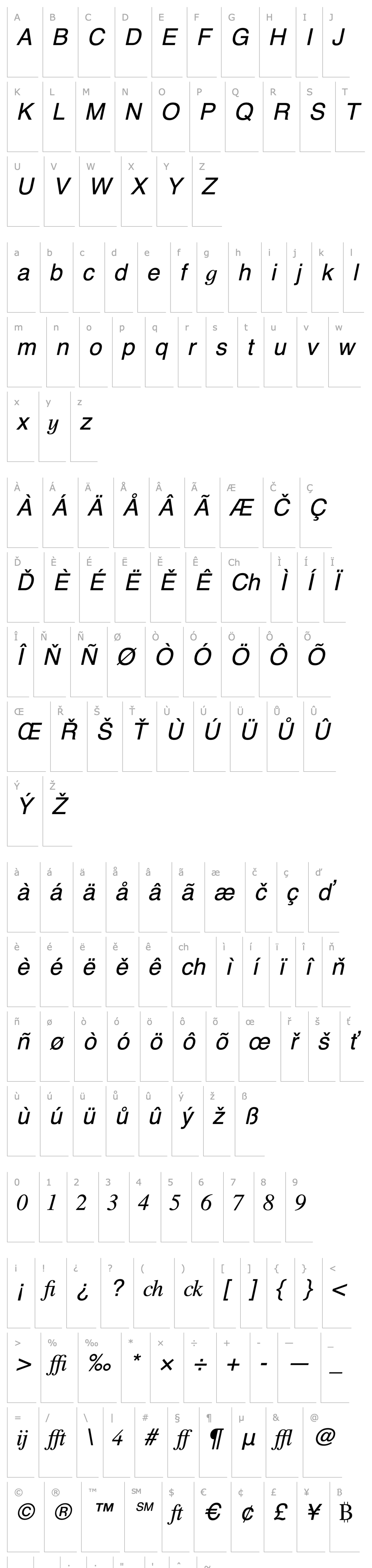 Overview Times Profi Italic