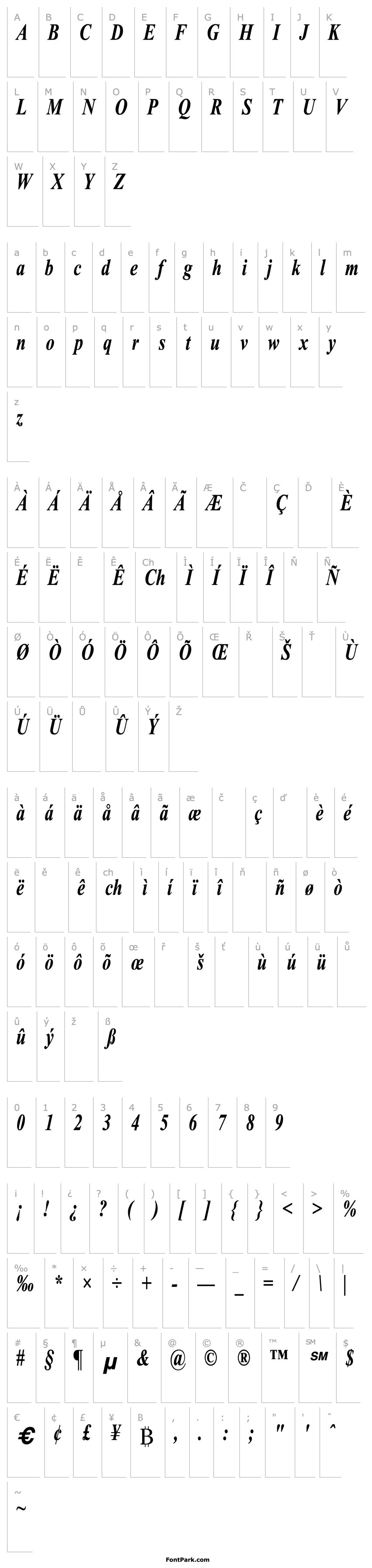 Overview Times Roman Cn Bold Italic