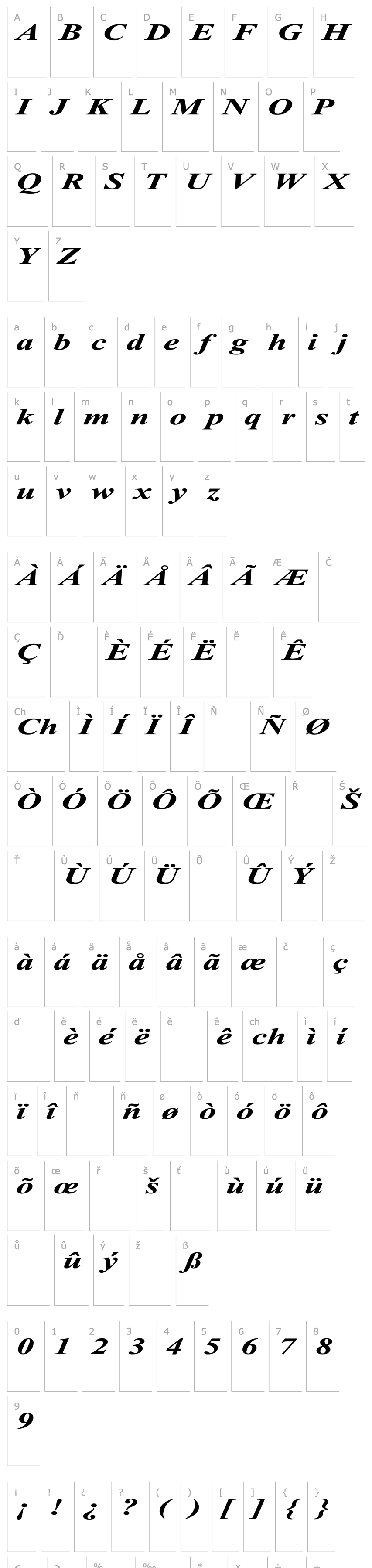 Overview Times Roman Ex Bold Italic