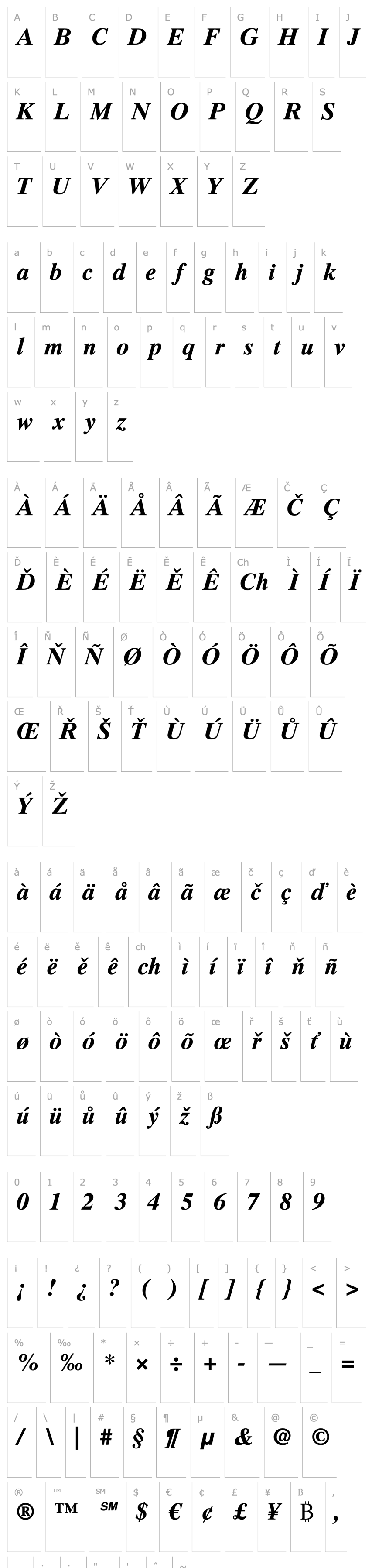 Overview Times Ten CE Bold Italic