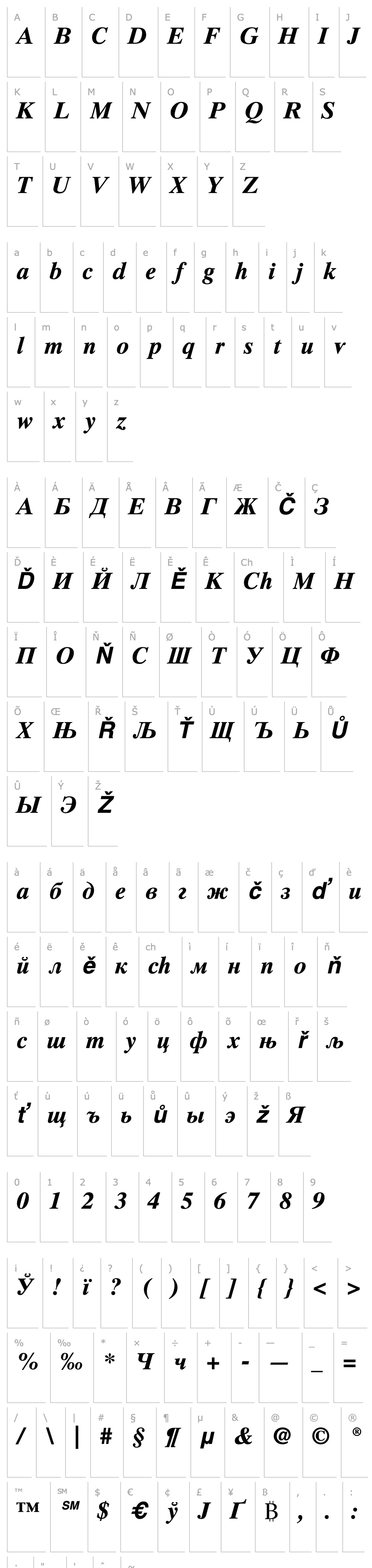 Overview Times Ten Cyrillic Bold Inclined