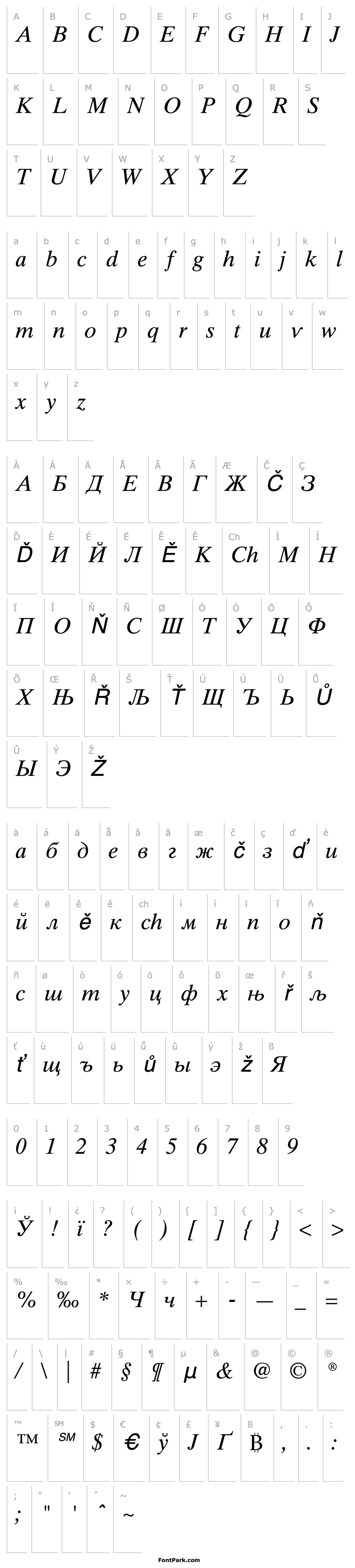 Overview Times Ten Cyrillic Inclined