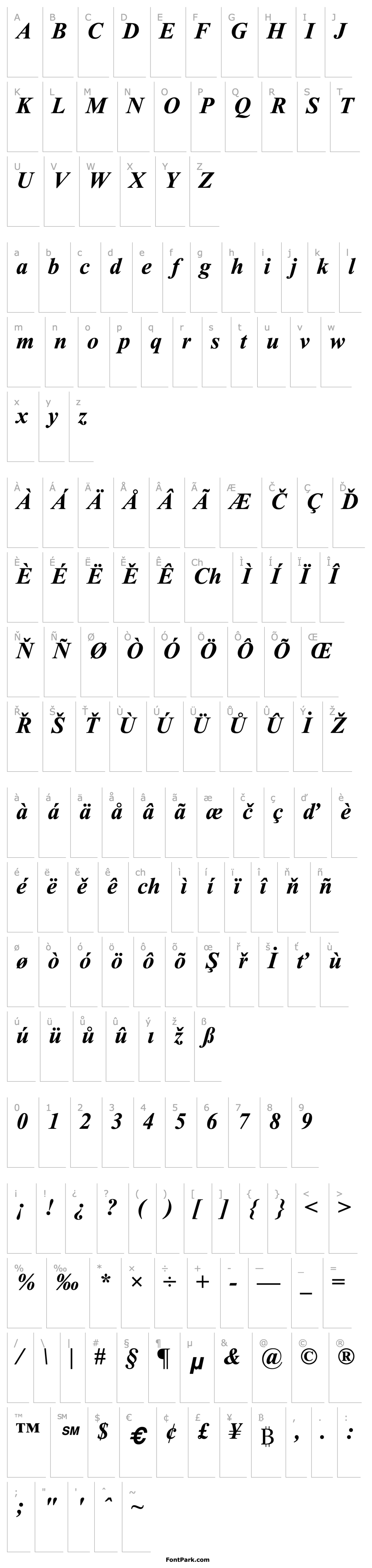 Overview Times2 New Roman Bold Italic Turkce