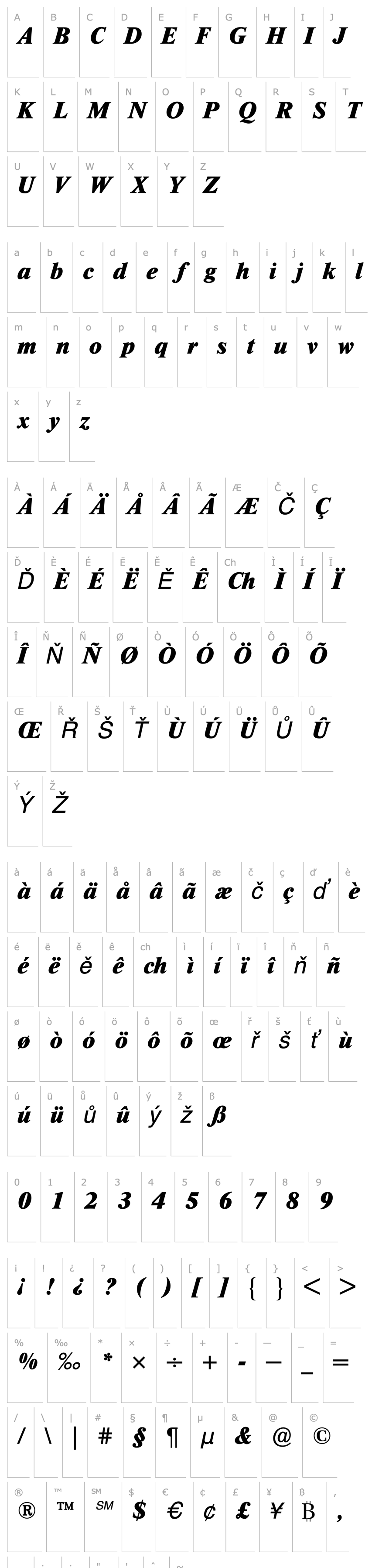 Overview TimesBQ-ExtraBoldItalic