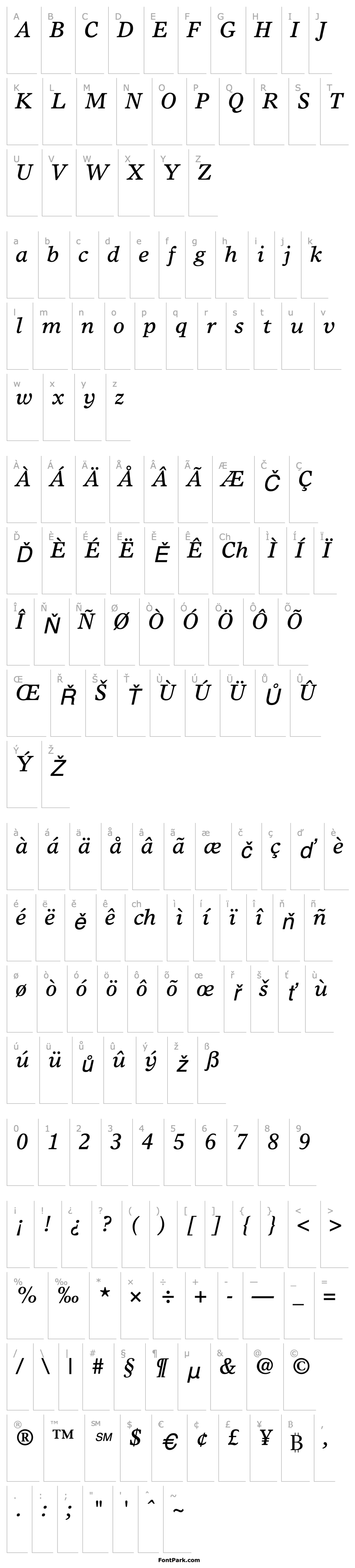 Přehled TimesEuropa-Italic