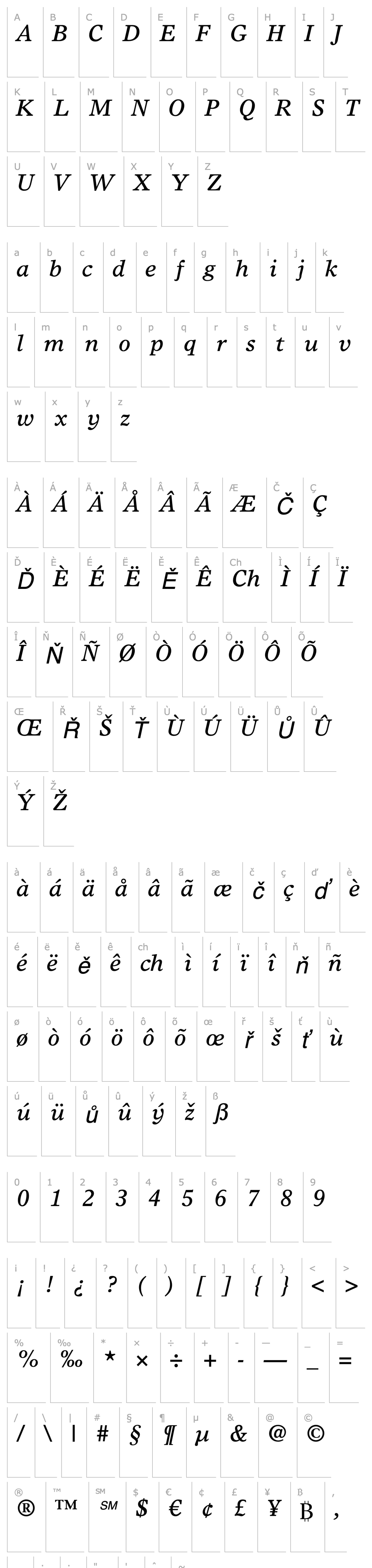 Přehled TimesEuropaLTStd-Italic