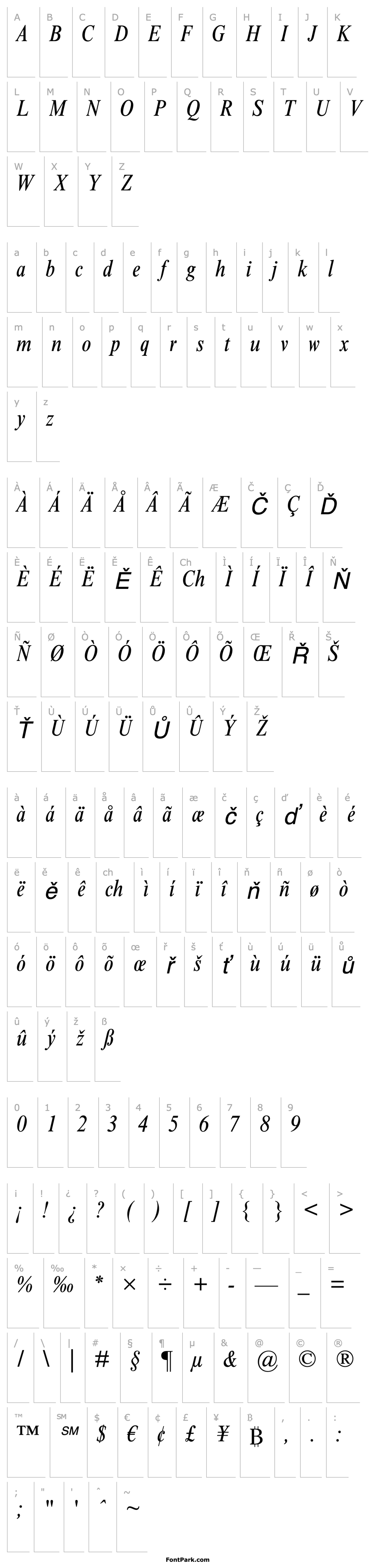 Overview TimesNewRomanMTStd-CondIt