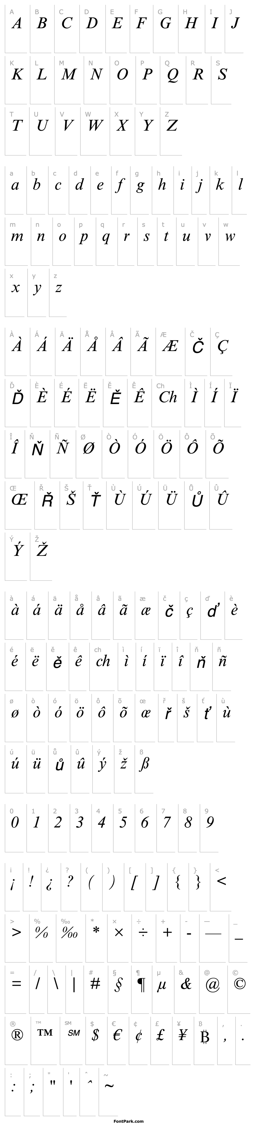 Přehled TimesNewRomanMTStd-Italic