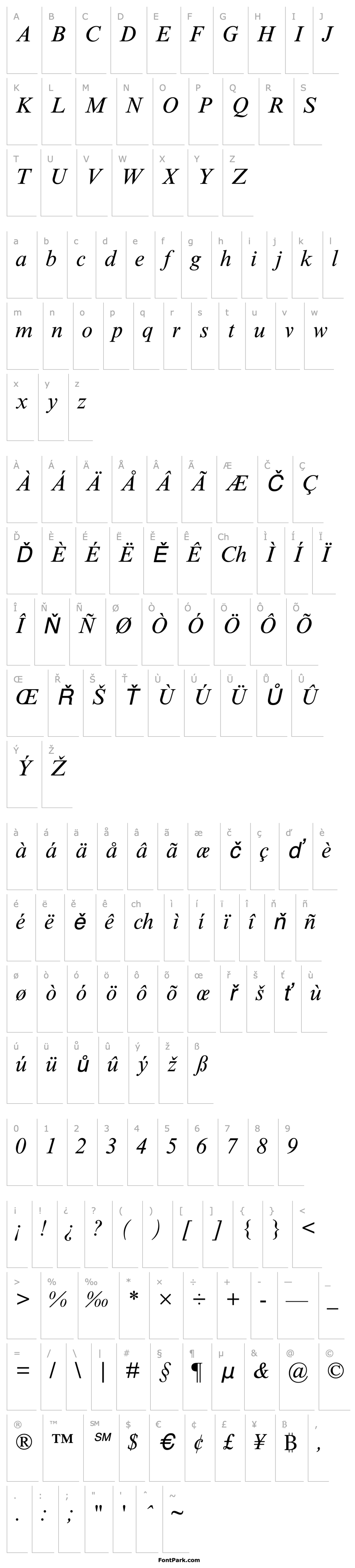 Přehled TimesNRMT-Italic