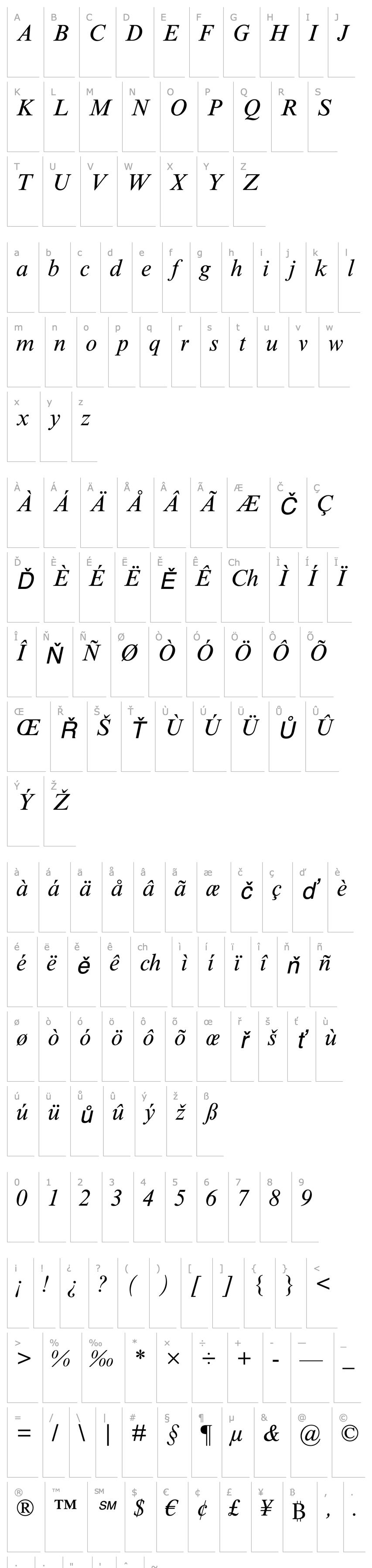 Přehled TimesNRMTStd-Italic