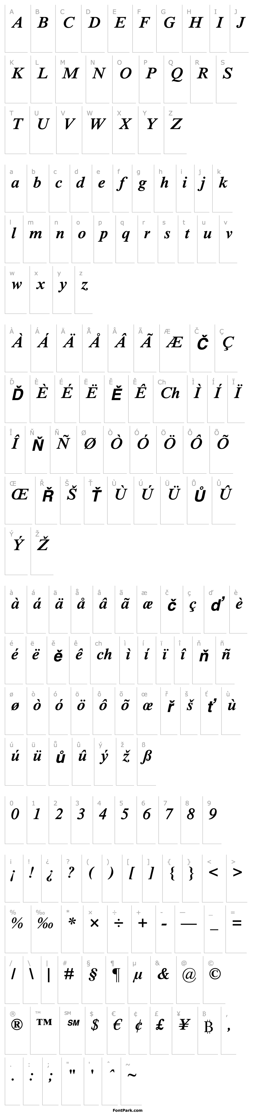 Overview TimesNRMTStd-SemiboldIt