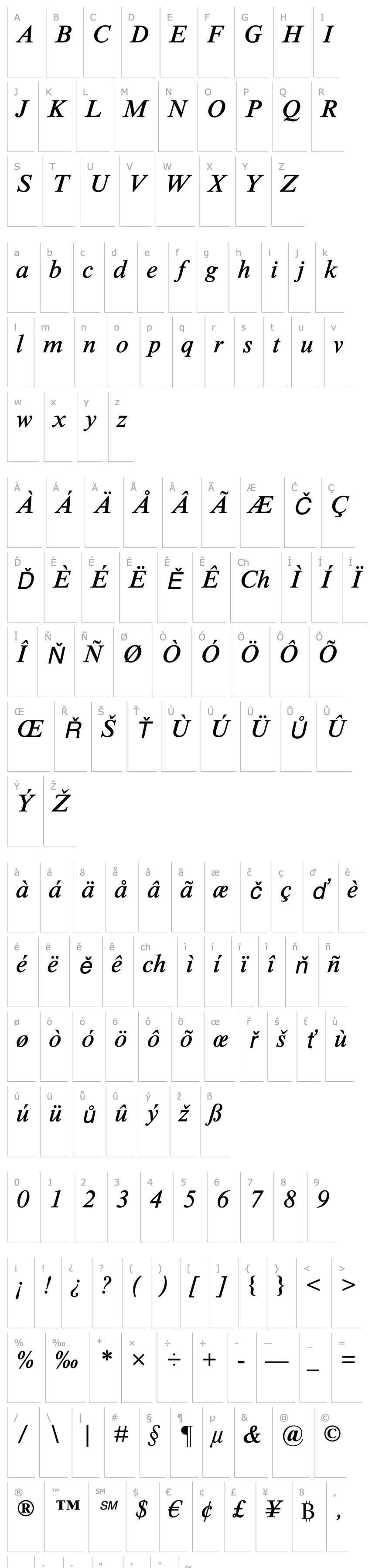 Přehled TimesNRSevenMTStd-Italic