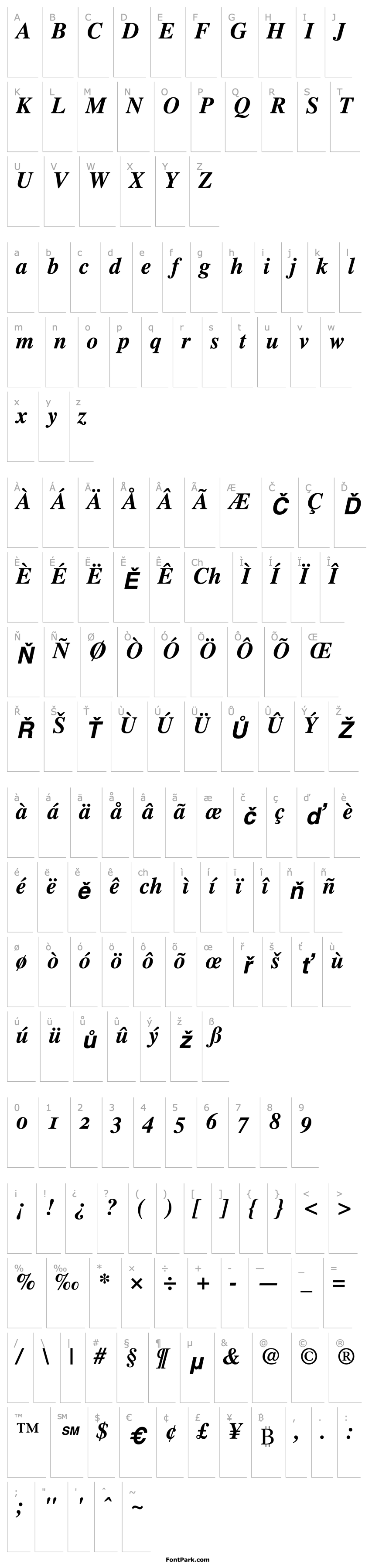 Přehled TimesOldStyleFigures-Bold Italic