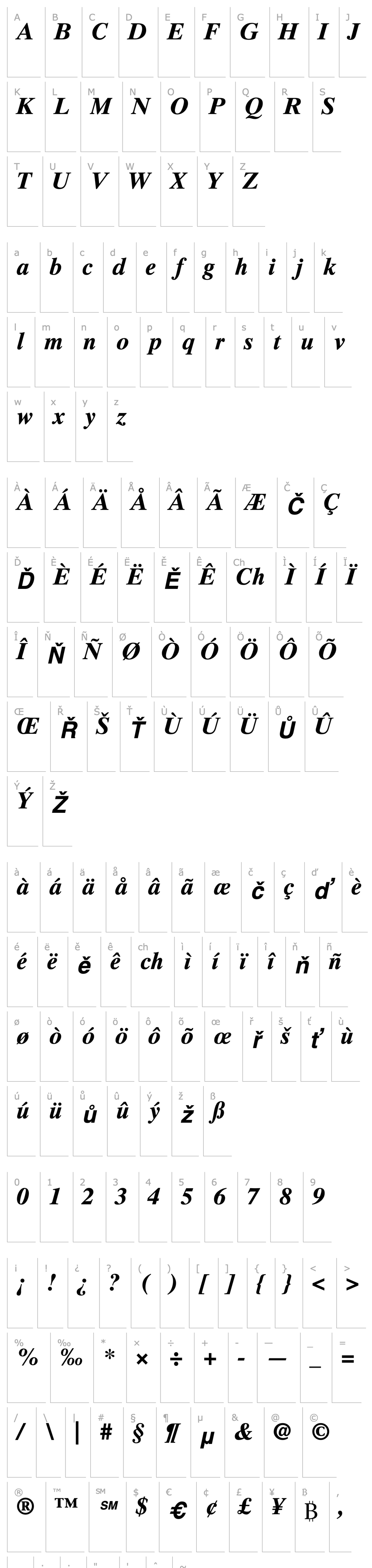 Přehled TimesTen-Bold Italic