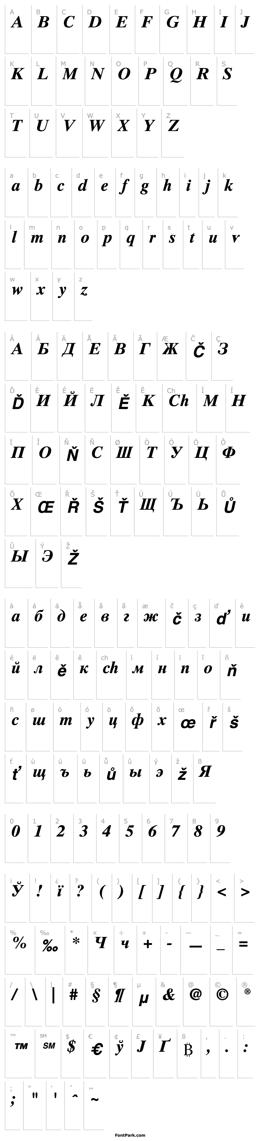 Přehled TimesTenCyrillic-Bold Inclined