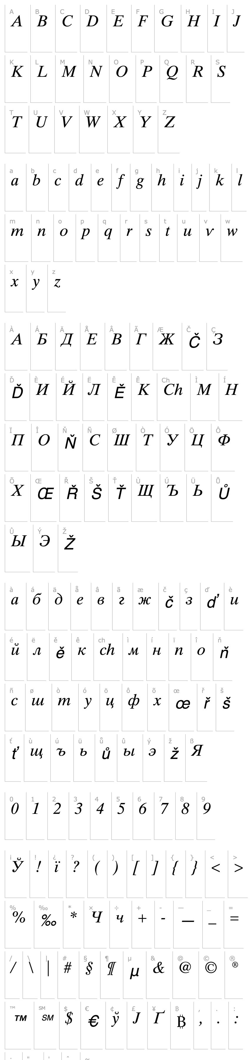 Přehled TimesTenCyrillic-Inclined