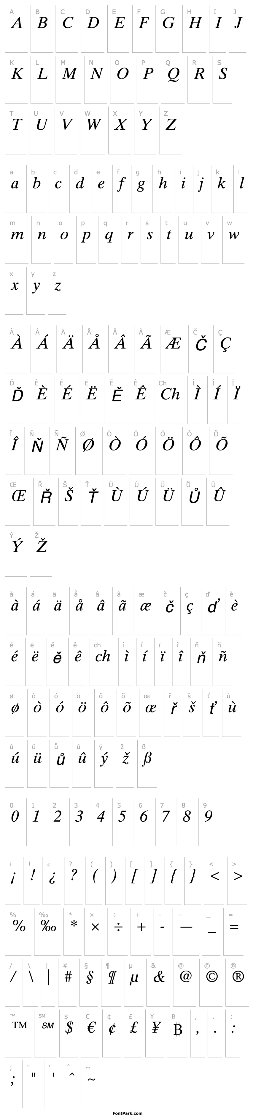 Přehled TimesTenLTStd-Italic