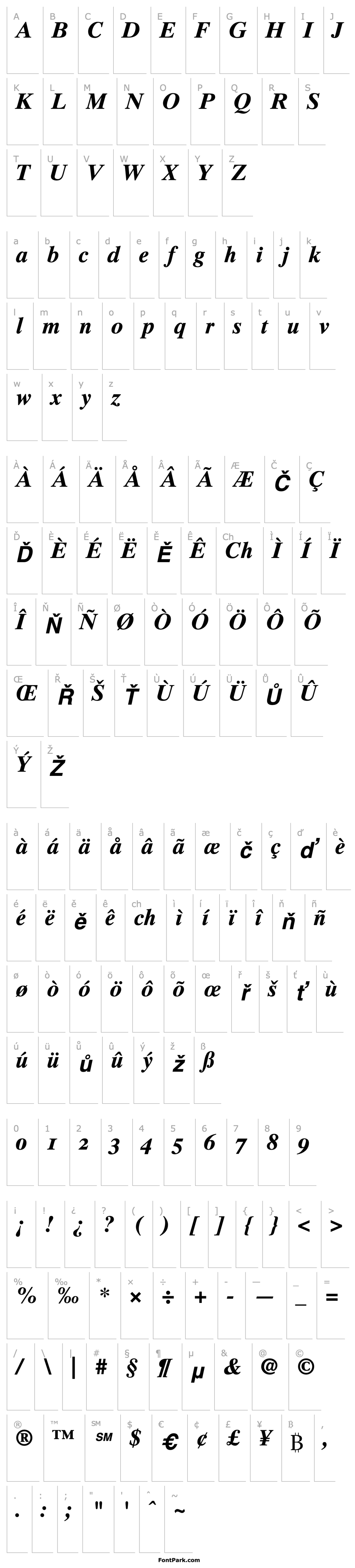 Přehled TimesTenOldstyleFigures-Bold Italic