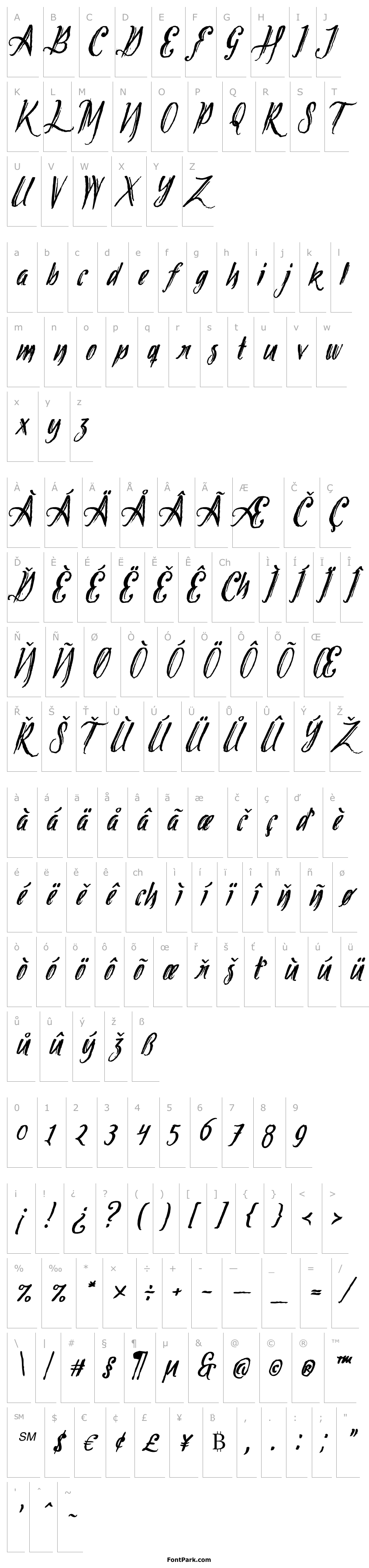 Overview Tipbrush Script 2 Slanted