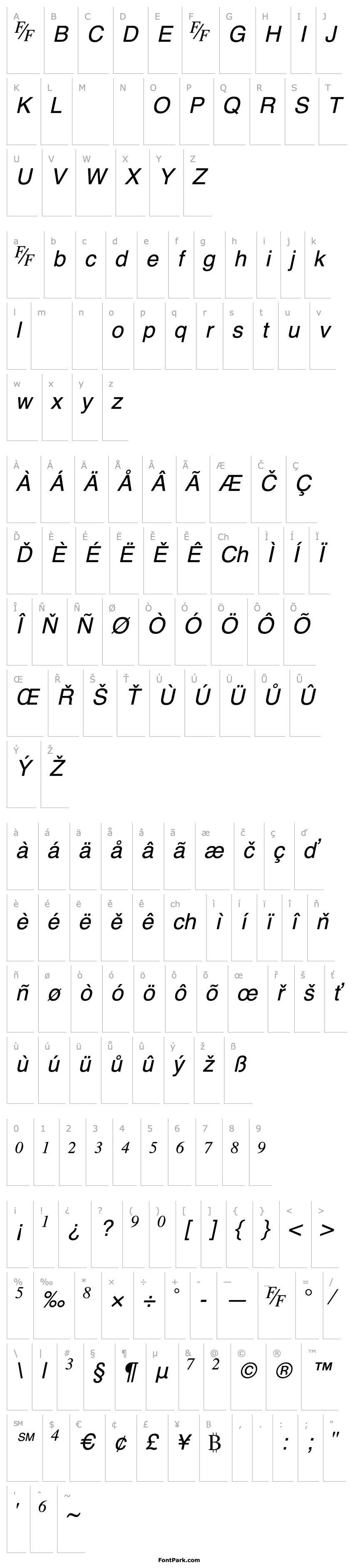 Přehled TmsFE-Italic