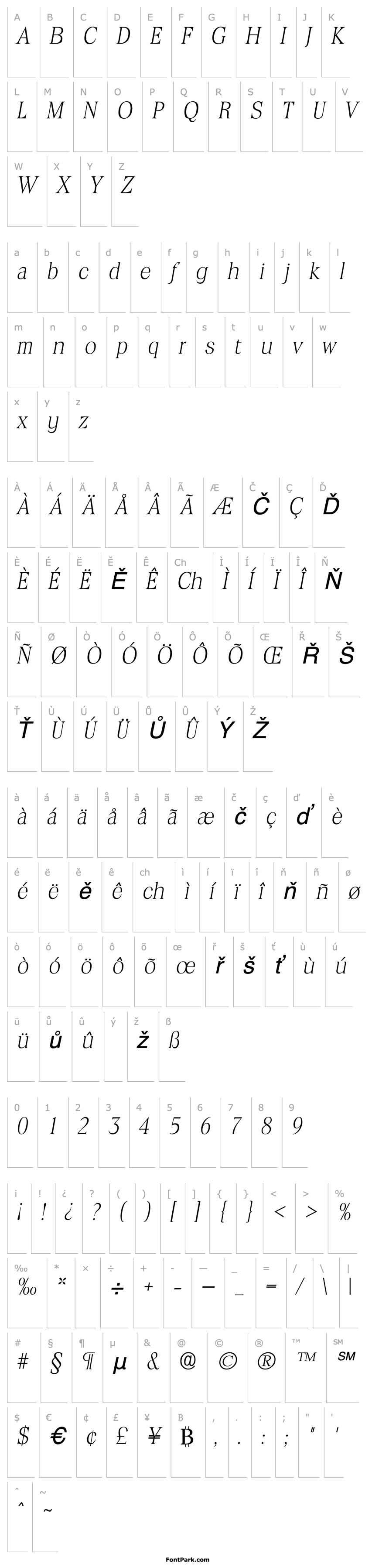 Přehled ToledoLH Italic