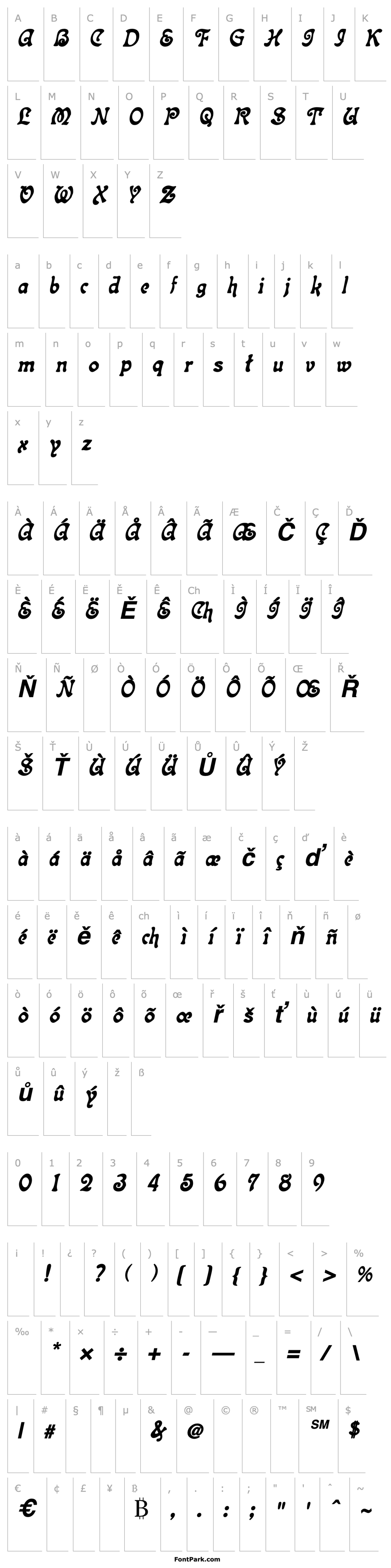 Overview Topeka Bold Italic