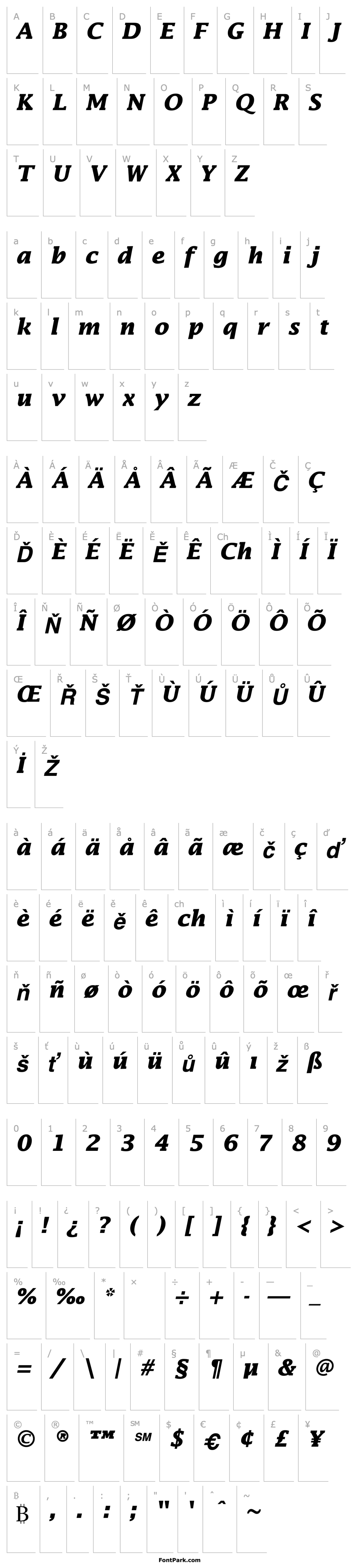 Overview TR America  Bold Italic