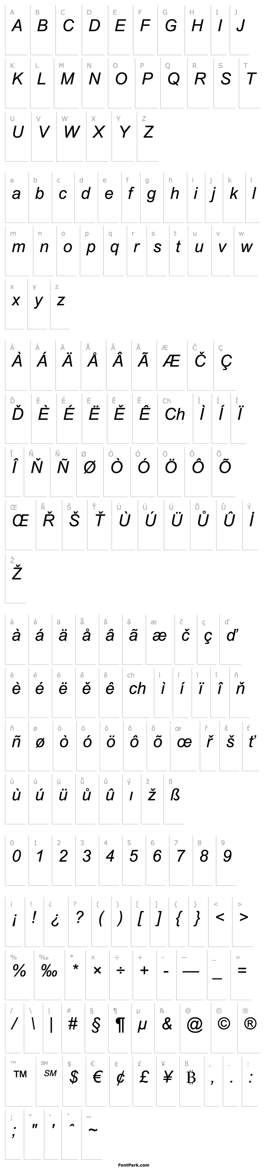 Overview TR Arial  Italic