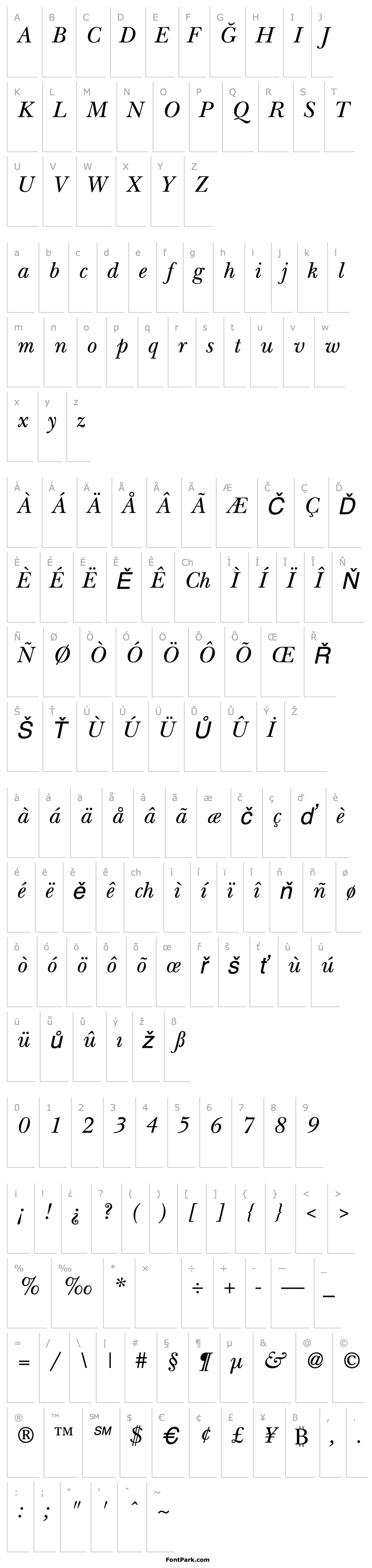 Overview TR Baez  Italic