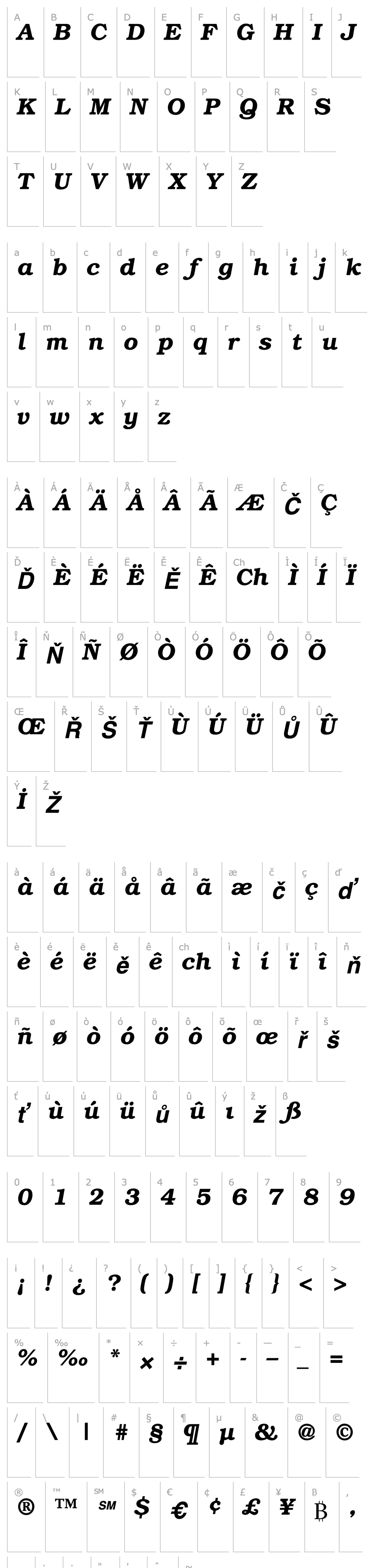 Overview TR Bookman  Bold Italic