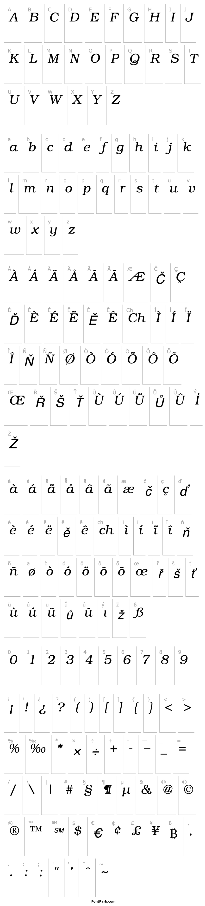 Overview TR Bookman  Italic