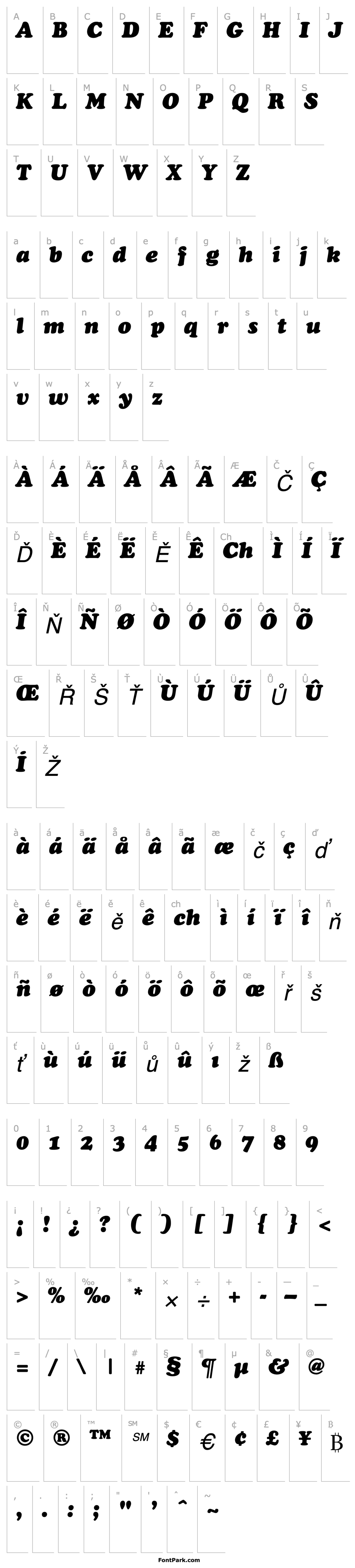 Overview TR Cupertino  Italic