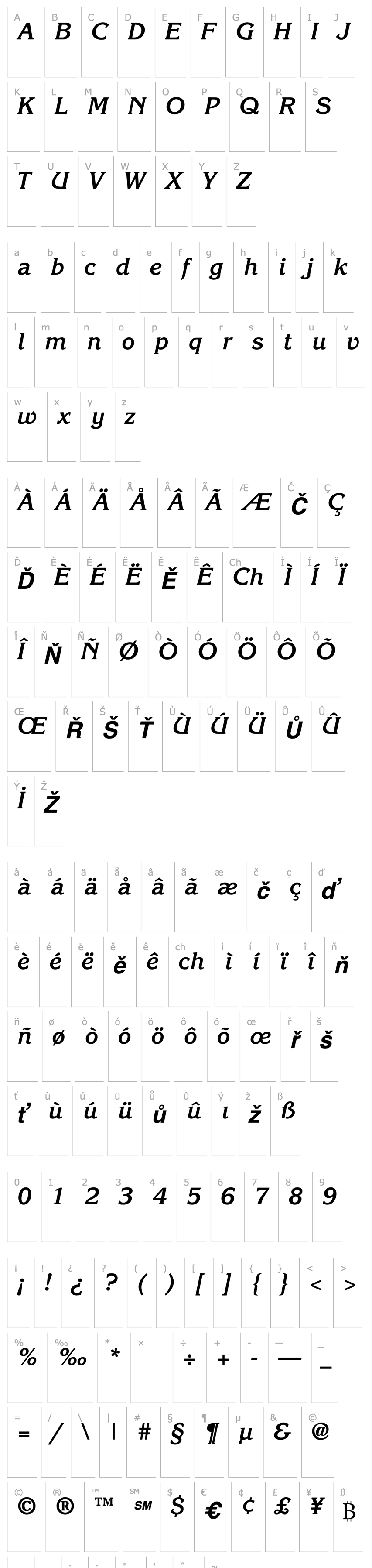 Overview TR Eagles  Bold Italic