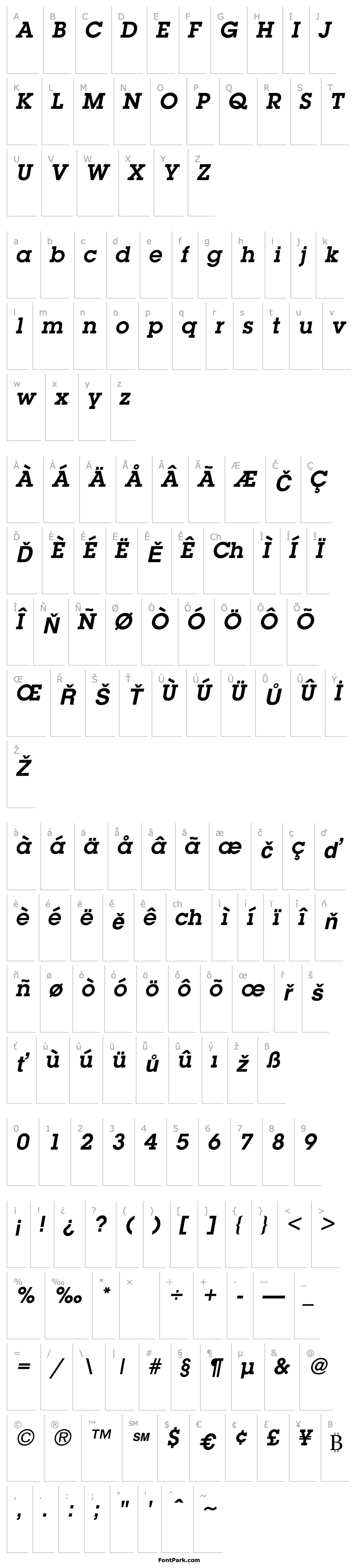 Overview TR McLean  Bold Italic