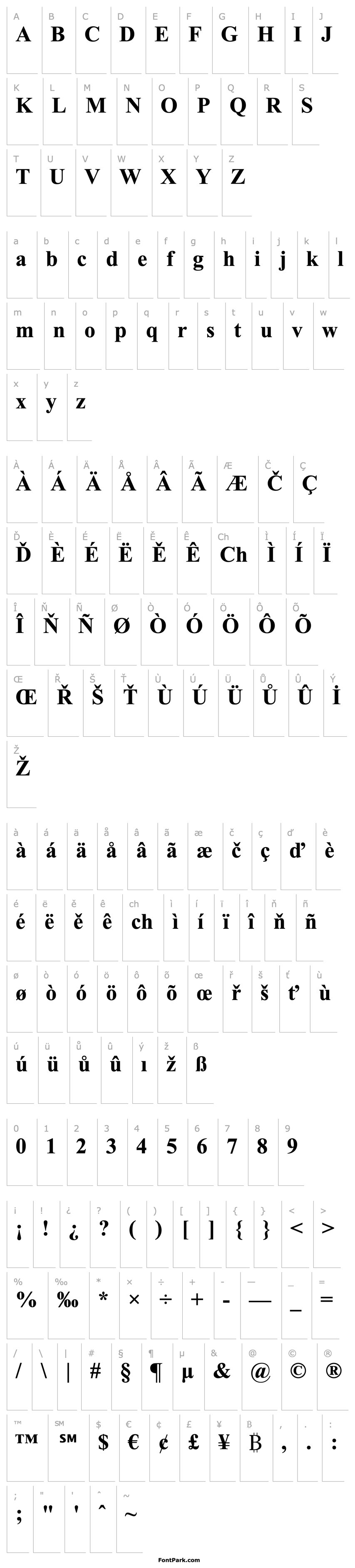 Přehled TR Times New Roman  Bold