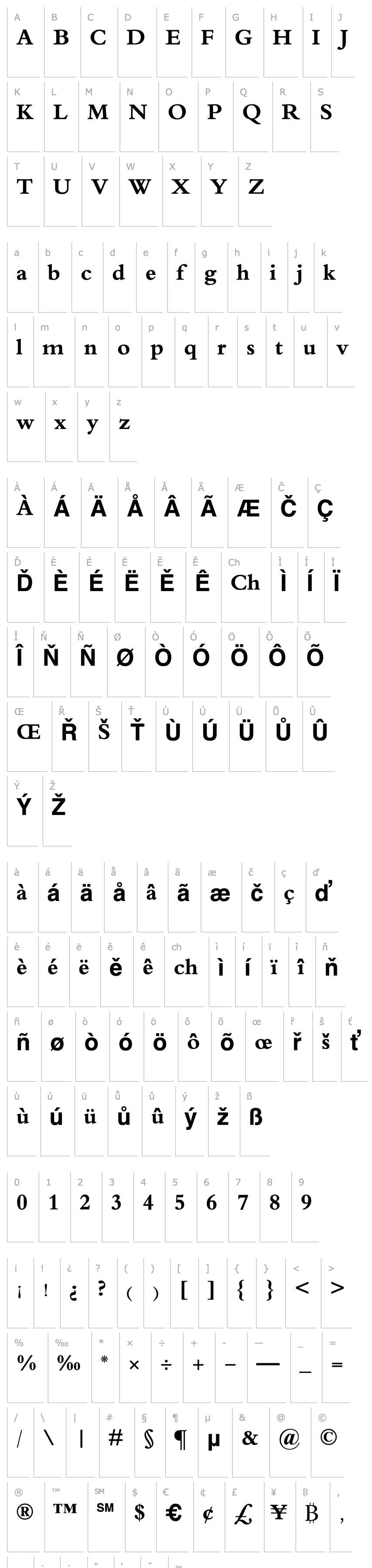 Overview Traditional Arabic Bold