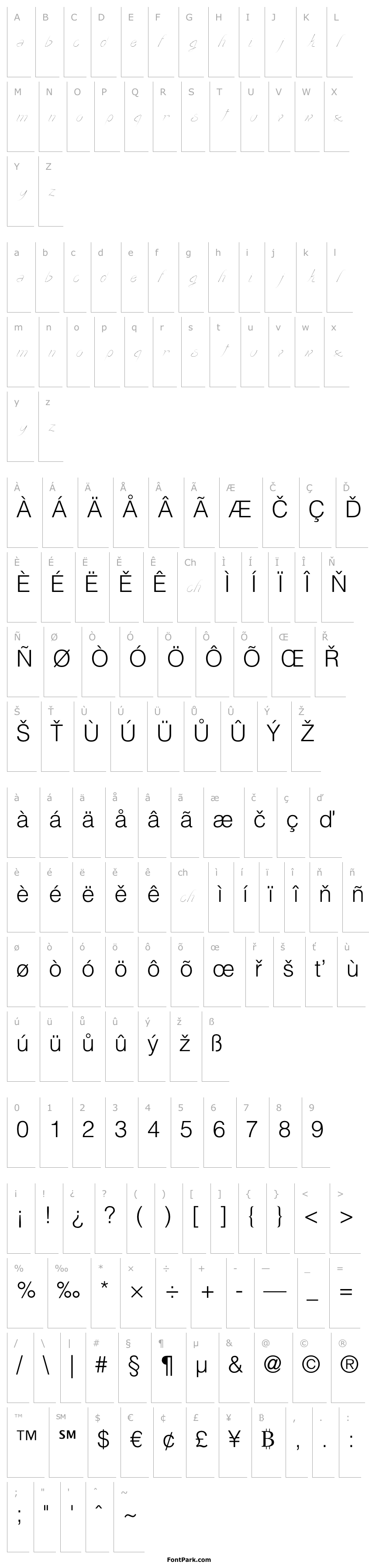 Přehled transient1