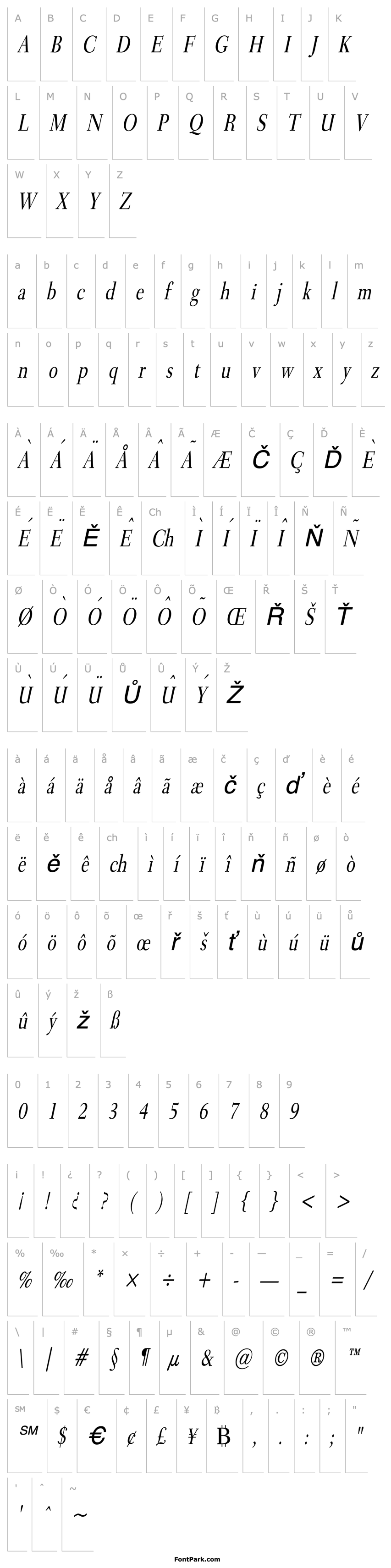 Přehled Transit Condensed Italic