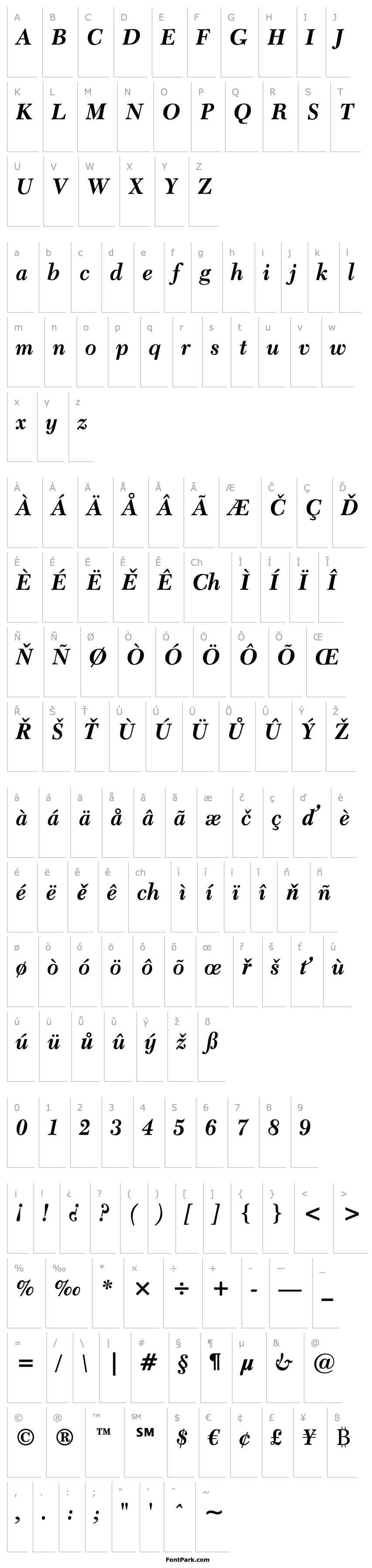 Overview Transit511 BT Bold Italic