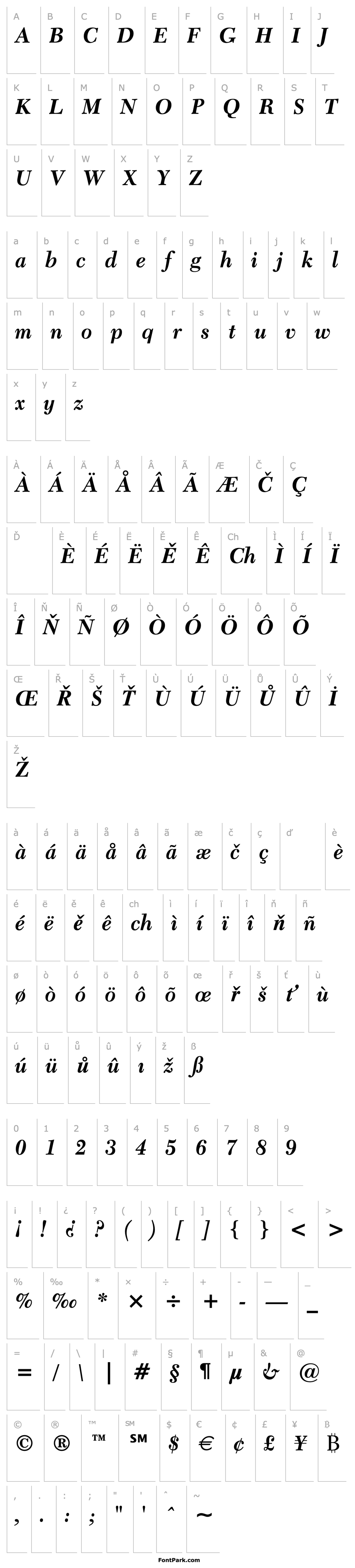 Overview Transitional 511 Bold Italic BT